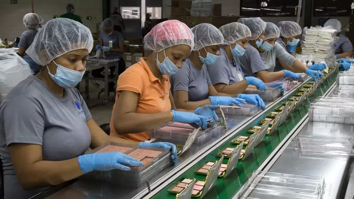 Actualización sobre el mercado laboral en República Dominicana y oportunidades para extranjeros